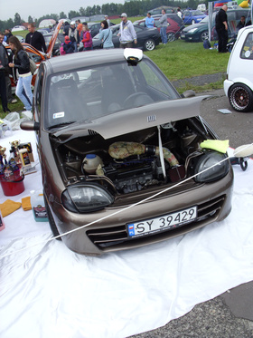 Zdjęcie 56511895