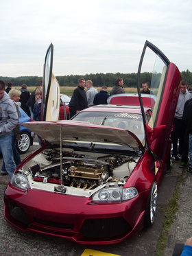 Zdjęcie 56554691