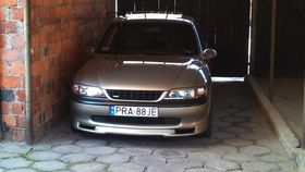 Zdjęcie 56560018