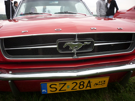 Zdjęcie 56568863