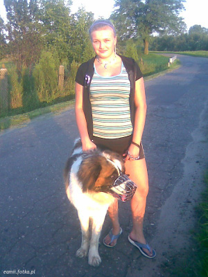 dog, pet