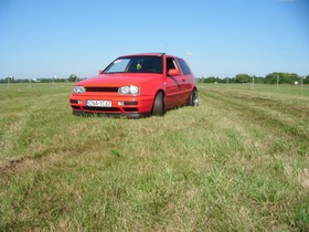 Zdjęcie 56976442