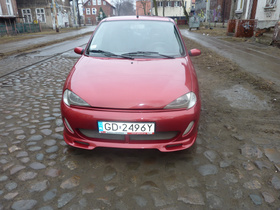 Zdjęcie 57277980