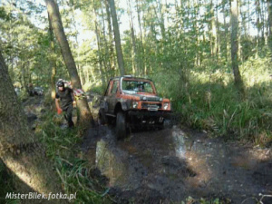 vehicle, car, sports, racing