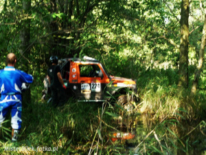 vehicle, car, jungle