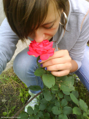 petal