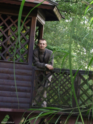 jungle