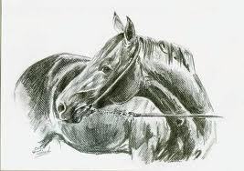Zdjęcie 58434247