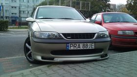 Zdjęcie 58853527