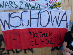 Zdjęcie 58955940