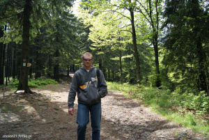 jacket, outerwear, jeans, forest, jungle