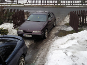 Zdjęcie 59050346