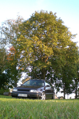 Zdjęcie 59095766