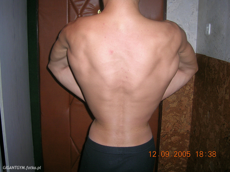 Moje poczatki: 15 lat, staz 2 lata, waga 63,5kg, biceps 34cm