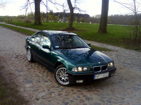 Zdjęcie 59825954