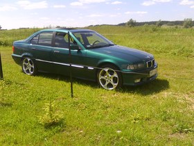 Zdjęcie 59826044