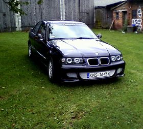 Zdjęcie 59887184