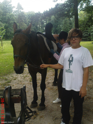 horse