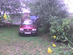 Zdjęcie 60161439