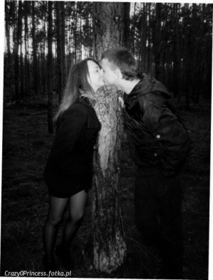 monochrome, forest