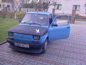 Zdjęcie 60869801