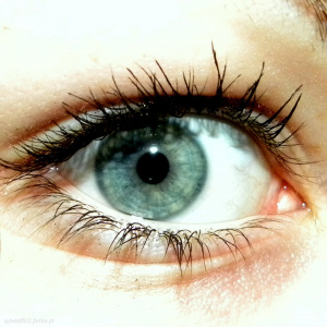 eyelash, skin