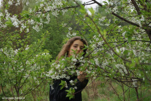 branch, petal, flower