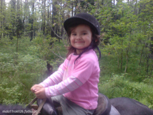 sitting, hat, horse