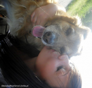 mouth, skin, ear, dog, cat
