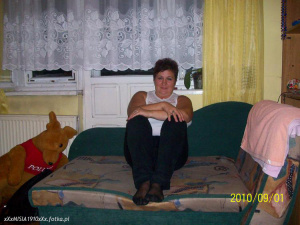 fun, sitting, room, dog, chair