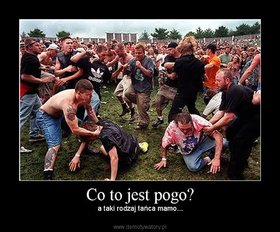Zdjęcie 61865561