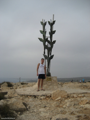 fun, vacation, beach