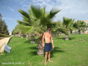 leisure, muscle, vacation