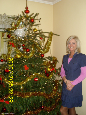 standing, dress, christmas, event, branch