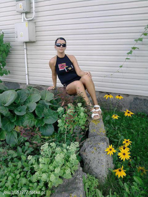petal, flower, garden