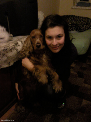 fun, dog