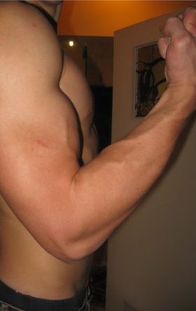 mój biceps