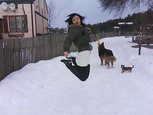 dog, pet
