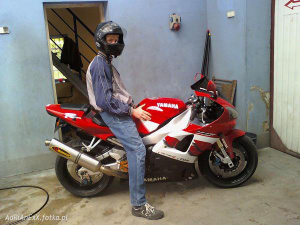 vehicle, wheel, motorcycle