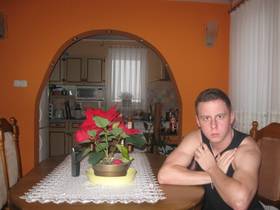 Obraz 211