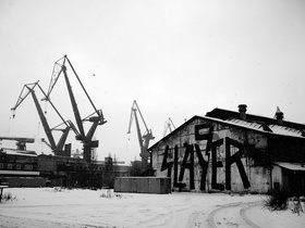 Zdjęcie 65353018
