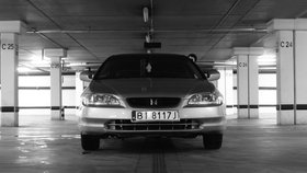 Zdjęcie 66063062
