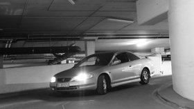 Zdjęcie 66063136