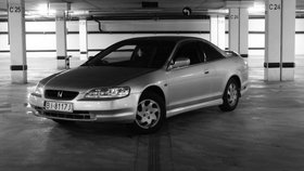 Zdjęcie 66063144