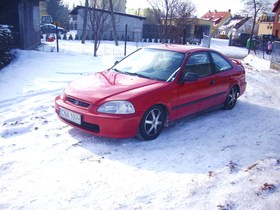 Zdjęcie 66127247