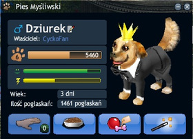 Elegancka Bestia :) Ma kto nieść obrączki do ślubu xD