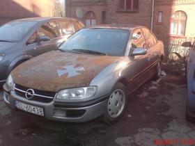 Zdjęcie 66611640