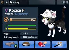 Kocica 2