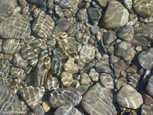 rock