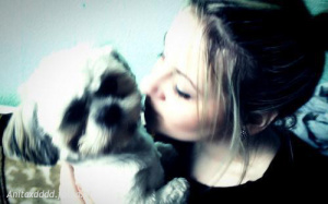 mouth, hair, cool, dog